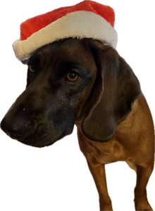 Fröhliche Weihnachten!